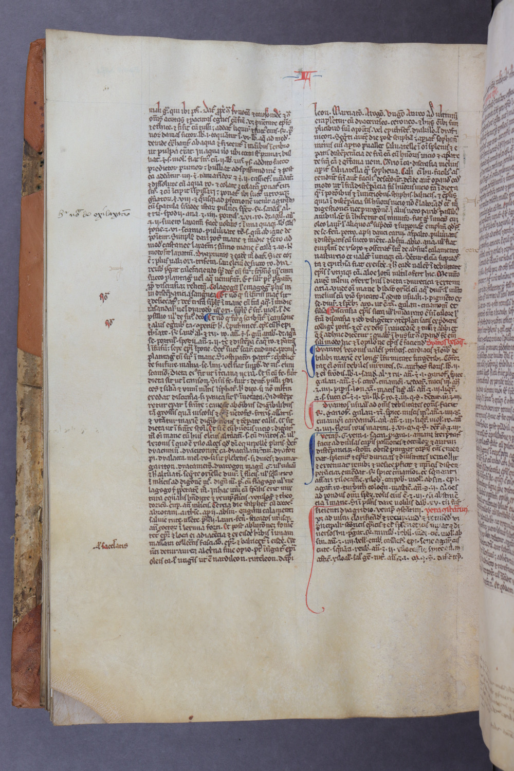 Folio 110 verso